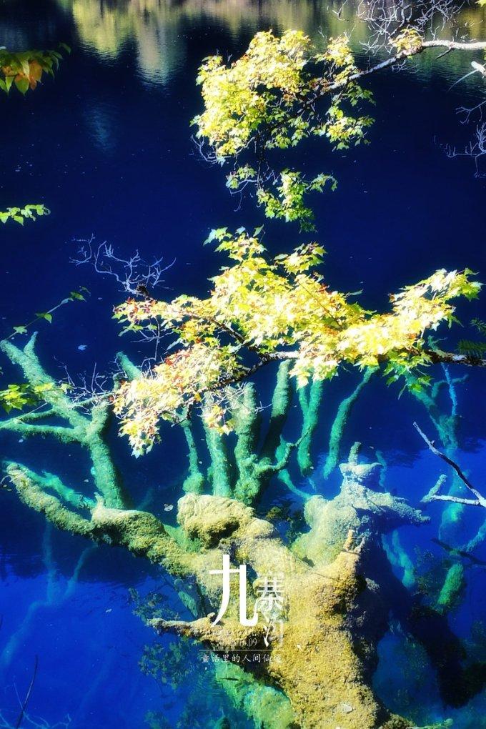《大江大河3》大结局，宋运辉人生赢家，雷东宝实惨，观众留有3个遗憾
