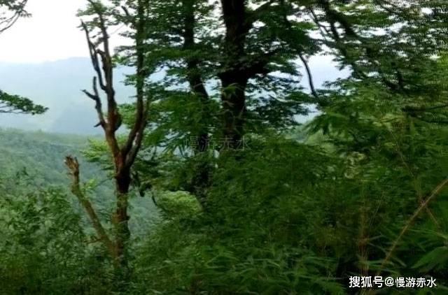 全自动洗衣机通电之后就进水是怎么回事？