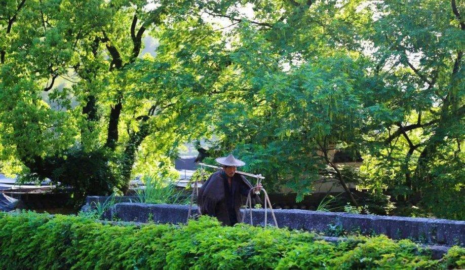 虫虫助手下载