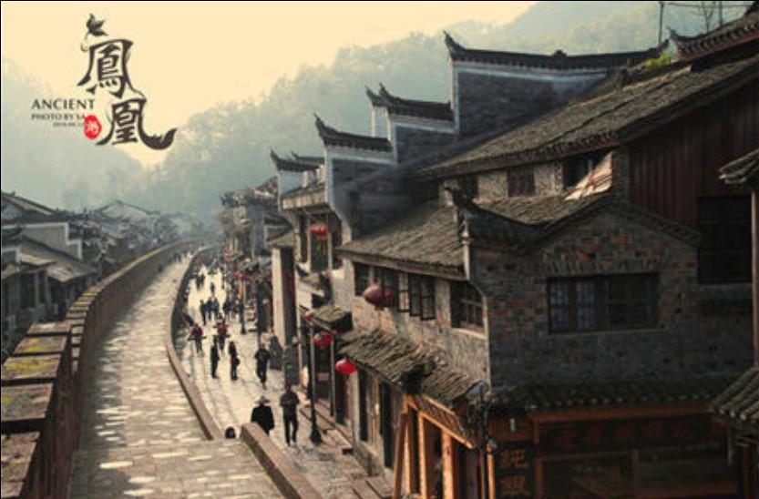 猫猫冒险团
